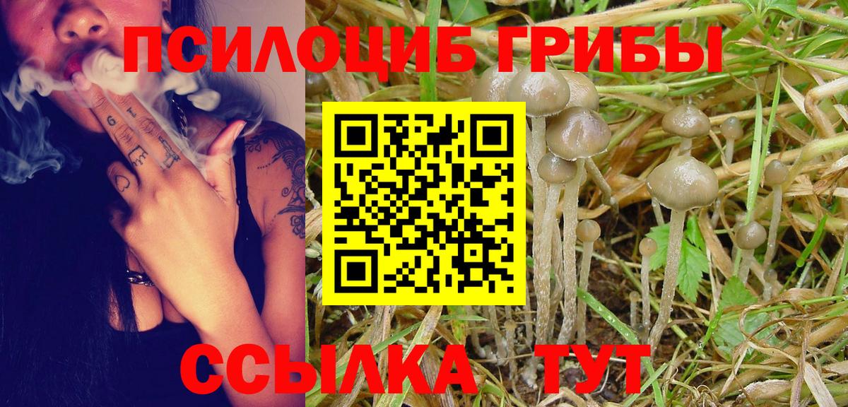 Асино  Псилоцибиновые грибы мухоморы  Вход с VPN  Галлюциногенные грибы Psilocybe 