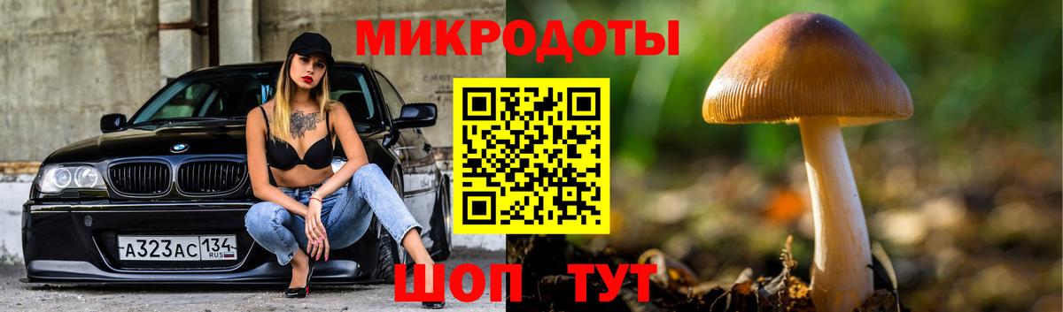 Псилоцибиновые грибы ЛСД Асино