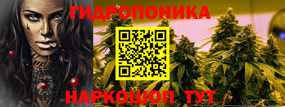 Бошки марихуана план  Вход с VPN  Марихуана сатива  МАРИХУАНА LSD WEED  Асино 